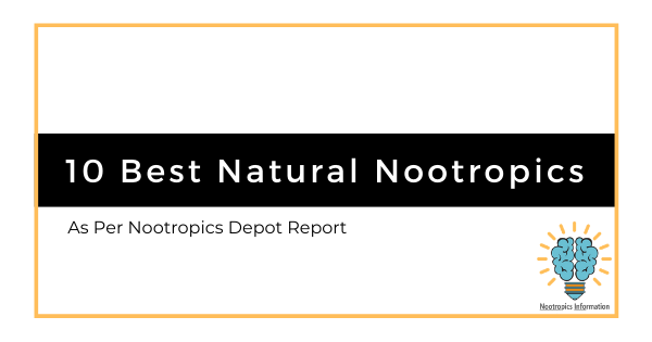10 Best Natural Nootropics by Nootropics Information nootro.info