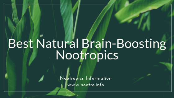 Best Natural Nootropics
