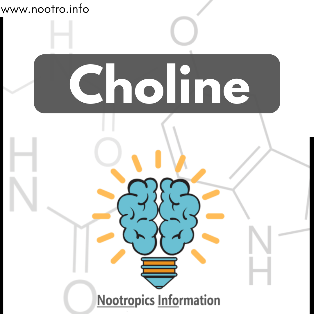 Choline Nootropics Information Dubai UAE Thumbnail